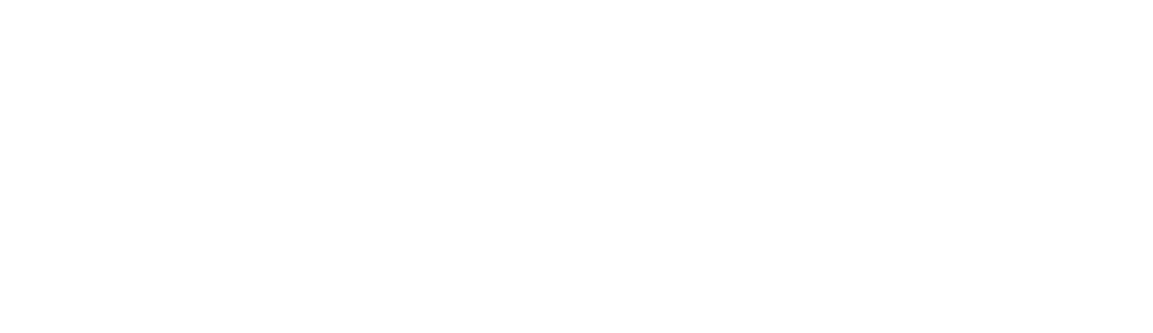 Autoscuola Legnani icone logo